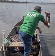 Após mortes de peixe, IMA coleta amostrar da Lagoa Mundaú