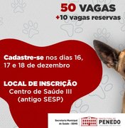 Prefeitura de Penedo promove castração gratuita de cães e gatos
