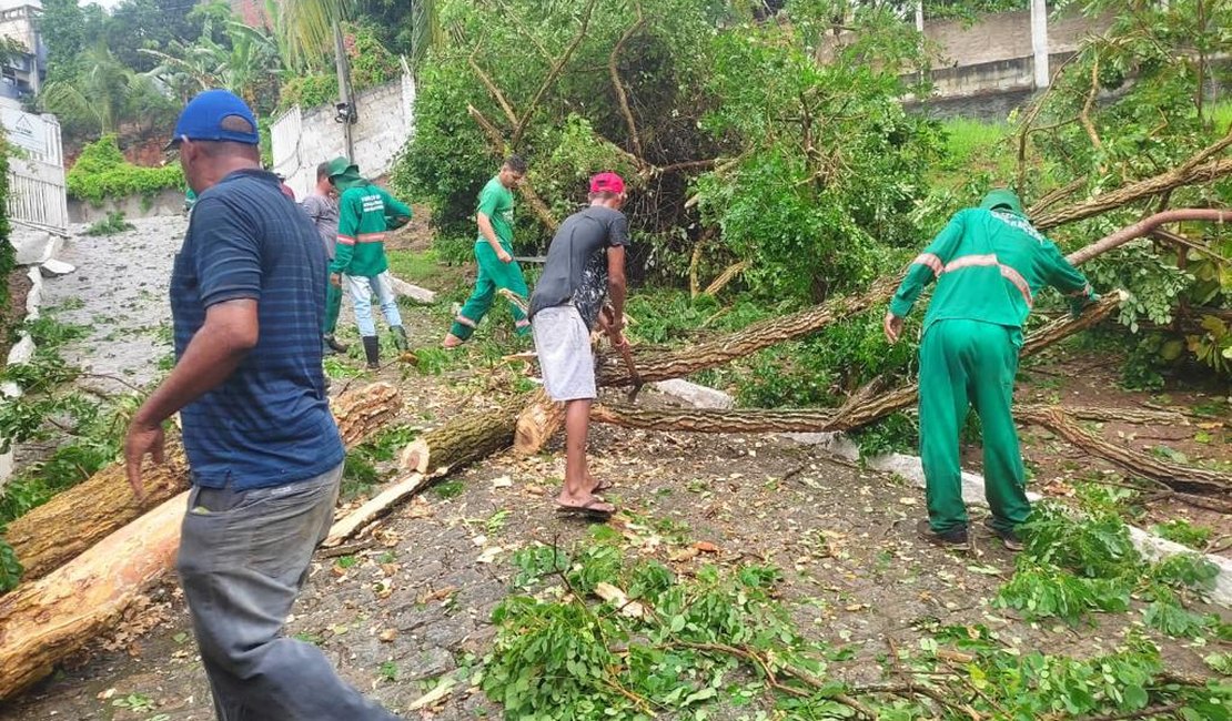 [Vídeo] Após fortes chuvas em Penedo, prefeitura mobiliza Defesa Civil e secretarias para fazer reparos