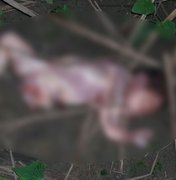 Corpo de recém-nascida é encontrado mutilado em matagal de Jundiá