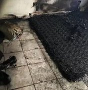 Mulher ateia fogo dentro de casa com duas crianças, em Branquinha