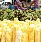 Prefeitura fiscaliza possíveis aglomerações em pontos de venda de milho em Maceió