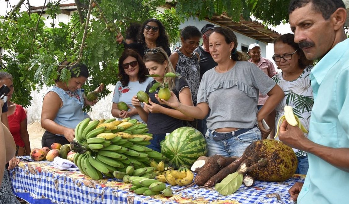Prefeitura publica Chamada Pública para agricultura familiar