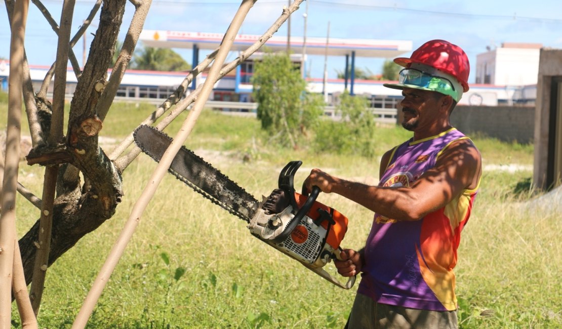 Prefeitura inicia trabalho de reaproveitamento de materiais de poda de árvore para adubação