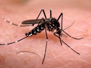 Ação educativa da Vigilância Sanitária alerta sobre dengue, zika e chikungunya