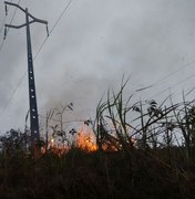 Queimadas deixam mais de 160 mil clientes sem energia