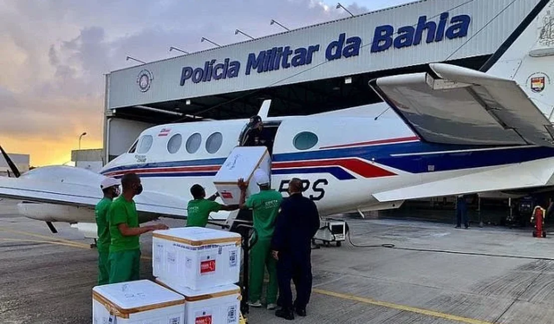 Avião que transportava vacina colide com jumento em aeroporto na Bahia