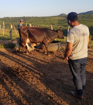 Mais de 100 famílias de agricultores são beneficiadas com programa rural em Girau do Ponciano