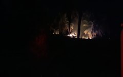 Vegetação entra em chamas na região central de Porto de Pedras
