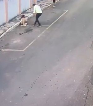 Vídeo: câmera registra cães fugindo de casa e atacando criança no DF
