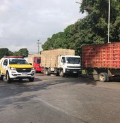 BPRv apreende caminhões com aves sem certificação sanitária em Alagoas 
