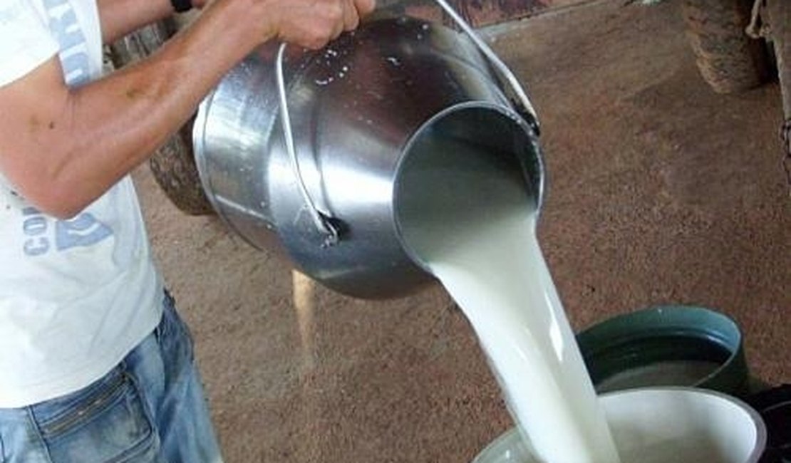 CPLA segue em busca de alternativas para superar crise na produção leiteira