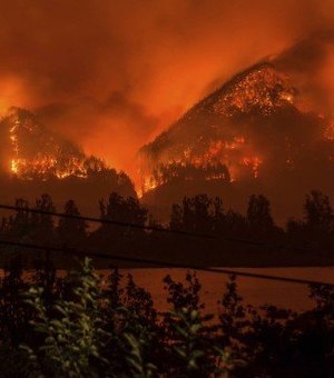 Jovem que lançou fogos e provocou incêndio florestal nos EUA é multado em R$ 137 mi