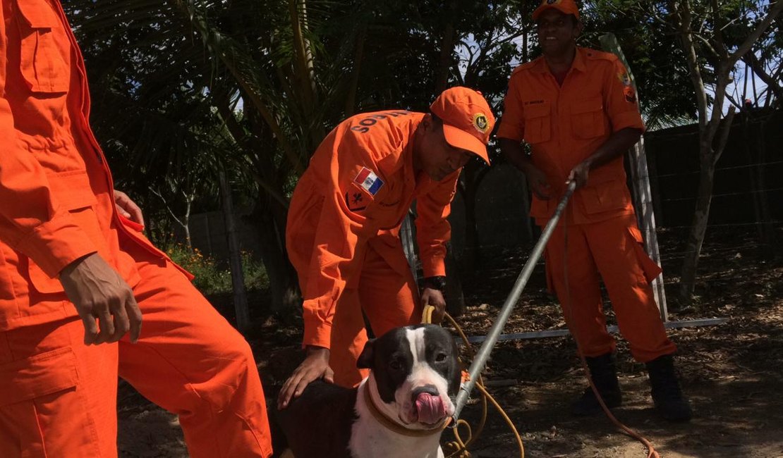 Bombeiros resgatam cachorro preso em poço na parte alta de Maceió