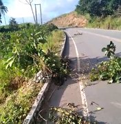 [Vídeo] Buraco na rodovia AL 460 causa perigo em Porto Calvo