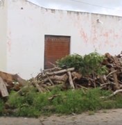 Moradores estão assustados com invasão de escorpiões nas residências em Arapiraca