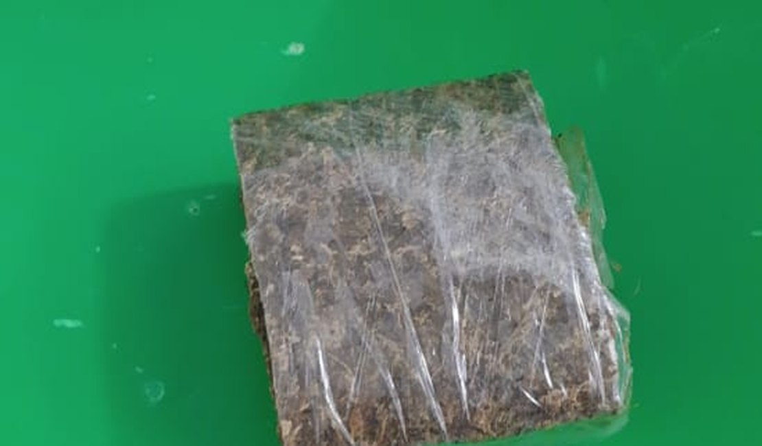 Jovem é presa acusada de tráfico de drogas em Japaratinga