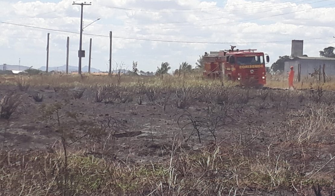 Bombeiros controlam incêndio em vegetação na AL-220 em Arapiraca