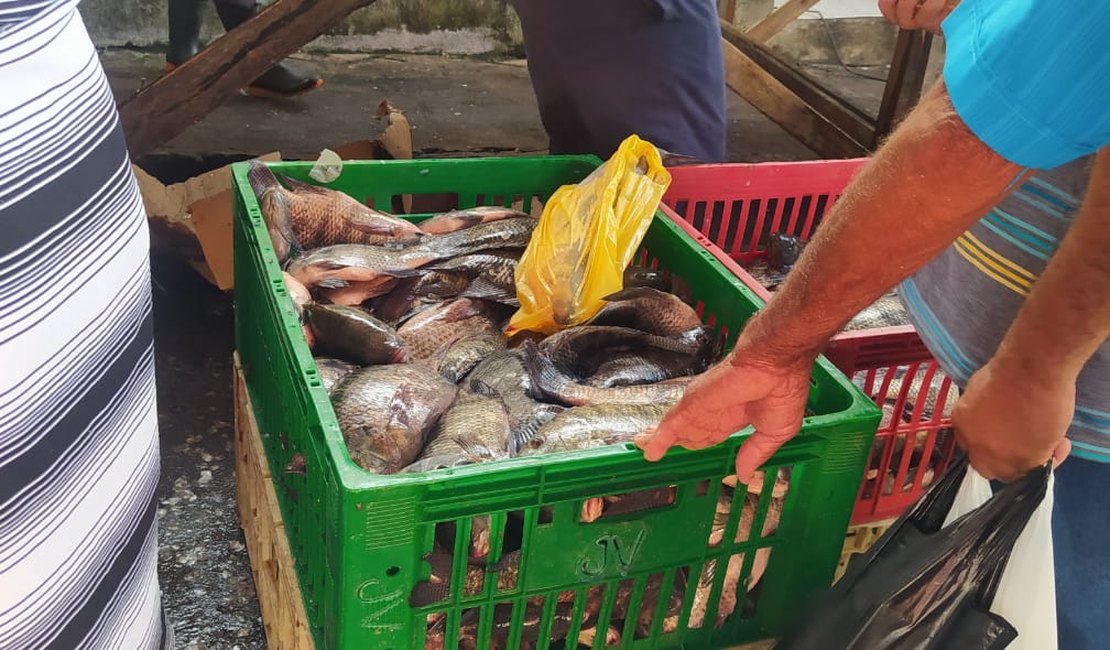 Comerciantes oferecem variedades de peixes e bons preços em Palmeira