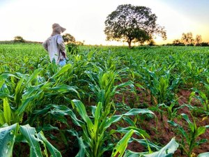Governador encaminha à ALE projetos de lei que beneficiam a agricultura familiar no estado