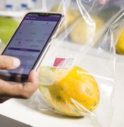 Embrapa desenvolve sensor que avalia grau de maturação de frutas