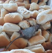 Animal morto é encontrado em alimento para reeducandos em Maceió