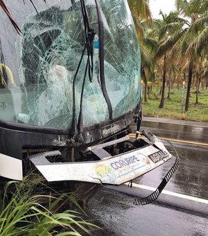 Ônibus escolar de Coruripe se envolve em acidente na AL-220 Sul