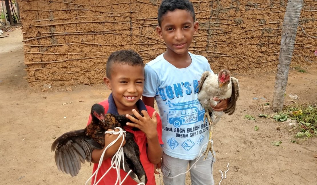 Meninos que pediram galinhas a Papai Noel ganham um ano de fornecimento de ovos