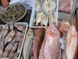 Vigilância Sanitária Estadual orienta sobre o que observar na compra do pescado