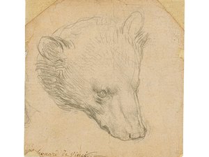 'Cabeça de Urso' de Da Vinci pode chegar a US$ 16 milhões em leilão que será realizado em julho