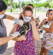 Unidade de Zoonoses promove vacinação antirrábica e feira de adoção no sábado (21)