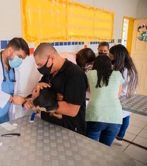 Meu Amigo Pet ultrapassa marca de 800 castrações e se torna o maior programa de saúde animal de Alagoas