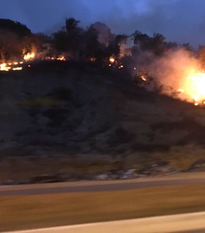 Bombeiros são acionados para combater incêndio em vegetação no São Jorge