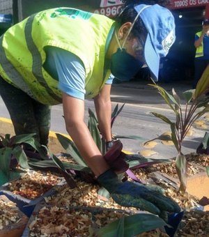 Prefeitura de Maceió já plantou mais de 2 mil mudas de árvore em espaços públicos