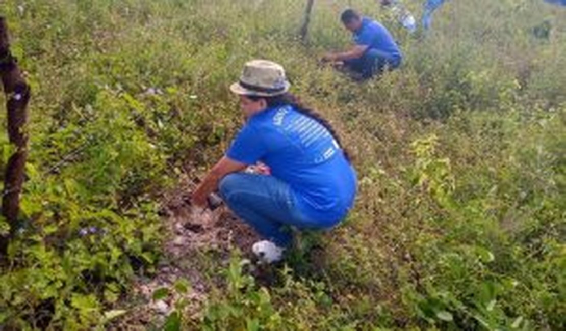 Prefeitura de Limoeiro de Anadia e Com-vidas realizam plantio de mudas na área do antigo lixão