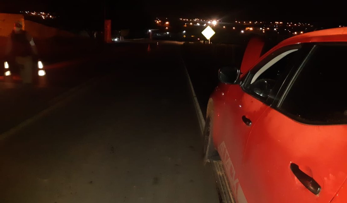 Veículo Nissan atinge cavalo solto na rodovia AL 115 em Arapiraca