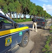 PRF recupera veículo roubado e prende homem por receptação em Maceió