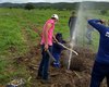Casal flagra furto de água para irrigar bananeiras entre Quebrangulo e Palmeira dos Índios