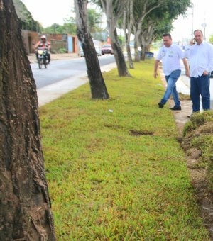 Canteiros da Avenida Ceci Cunha, em Arapiraca,  recebem plantio de grama