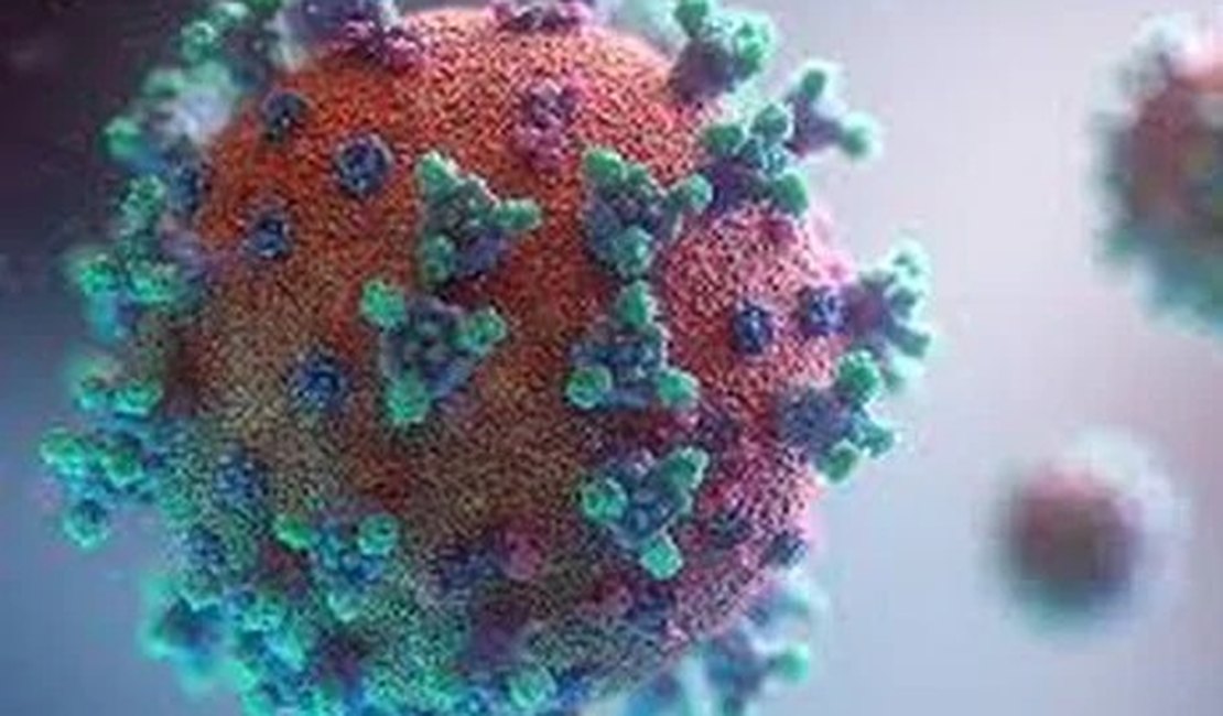 Mais de 3.500 casos do novo coronavírus já foram confirmados em AL 
