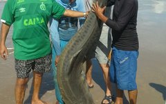 O animal foi encontrado por pescadores