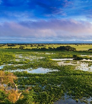 Maravilhas Naturais de Campo Grande: Explore o Cerrado e o Pantanal