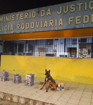 Cão treinado localiza droga em carreta que seria levada para município de Pilar