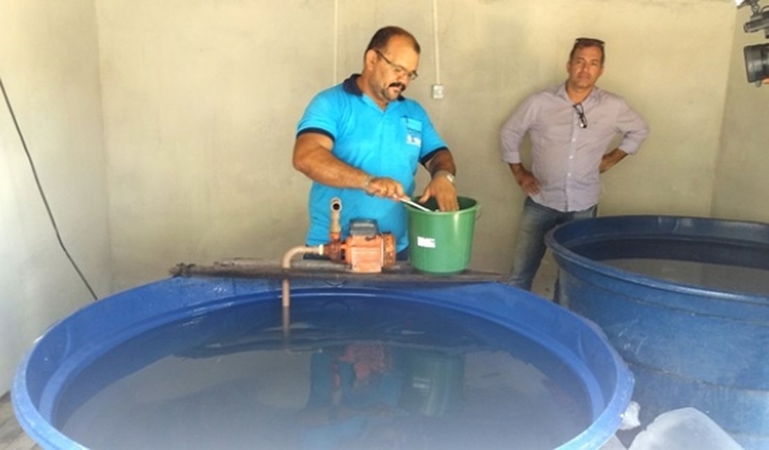 Seagri distribue 'filhotes de peixe' para combater mosquito da dengue