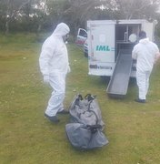 Polícia encontra cadáver de homem em canavial no Beneditos Bentes 