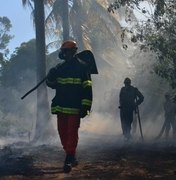 Corpo de Bombeiros registra catorze incêndios durante feriadão