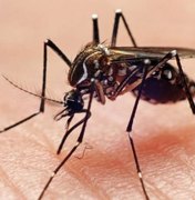 Casos de dengue crescem nos últimos meses em Alagoas, aponta MS