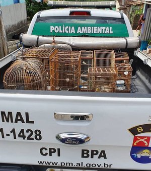 BPA realiza operação de combate ao tráfico, venda e cativeiro de animais silvestres