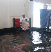 Feira do Peixe Vivo movimenta Mercado Público de Marechal Deodoro