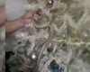 Vídeo. Família acha cobra enrolada em árvore de Natal
